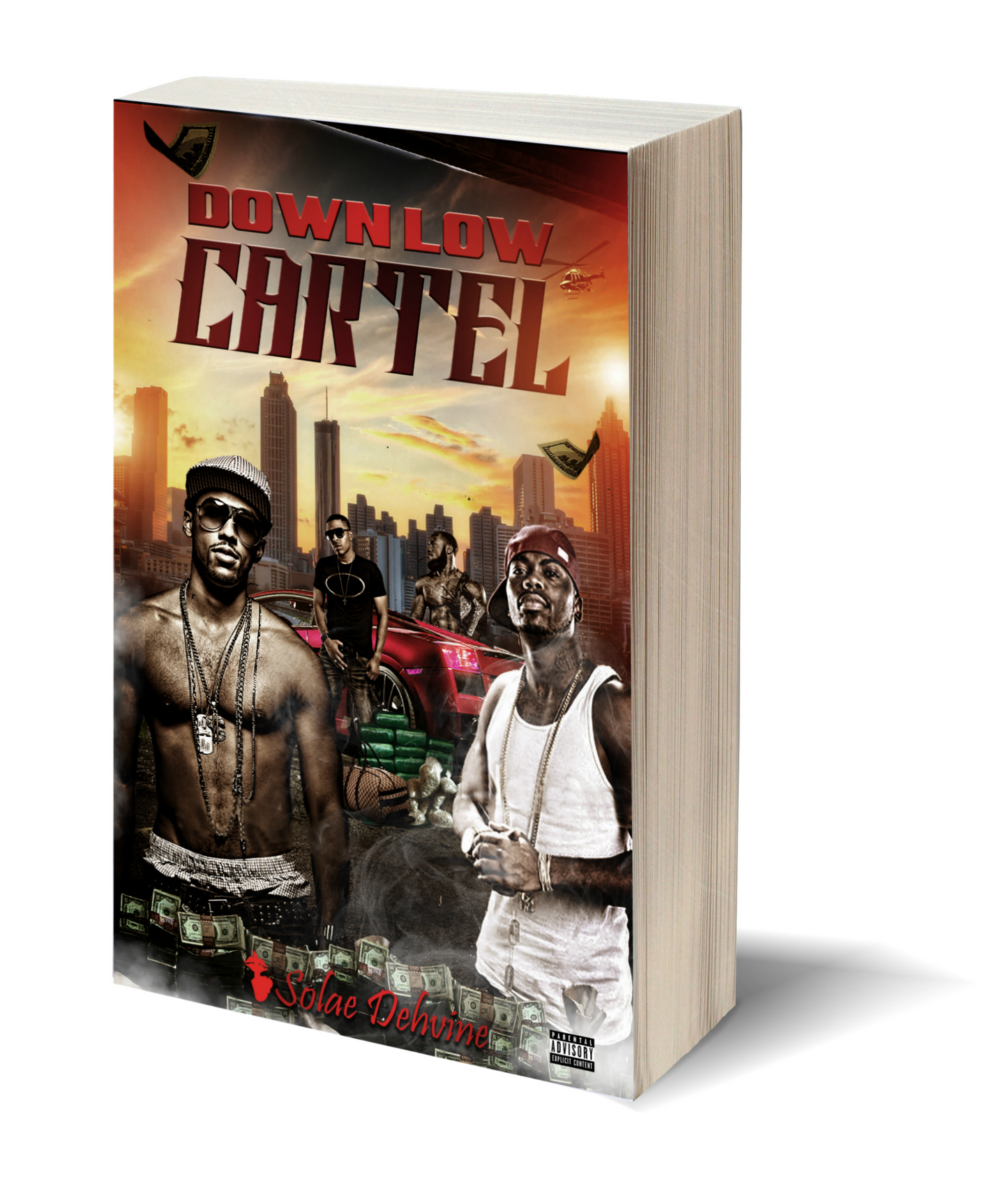 Down Low Cartel Paperback